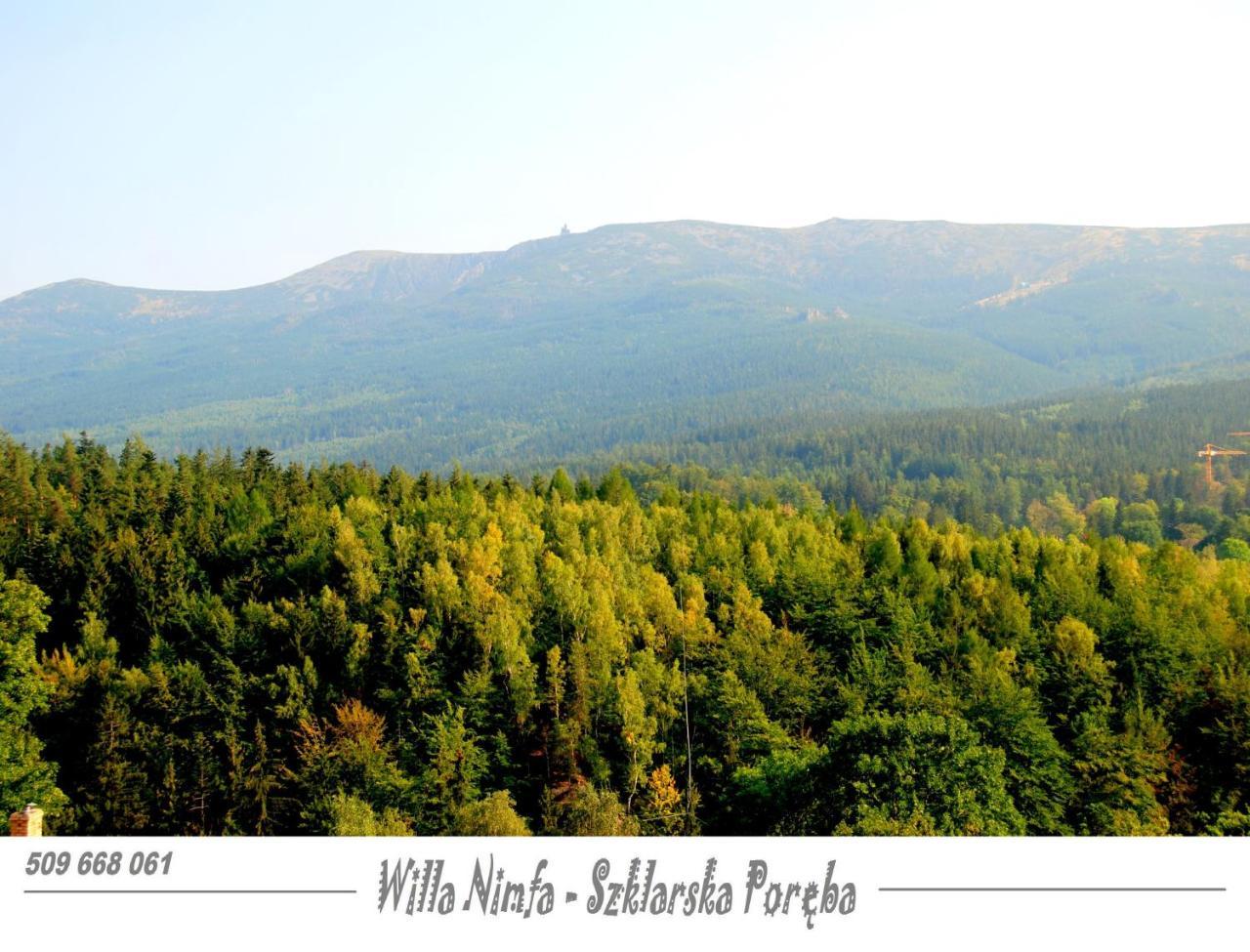 Willa Nimfa Apartamenty W Centrum Шклярска-Поремба Экстерьер фото